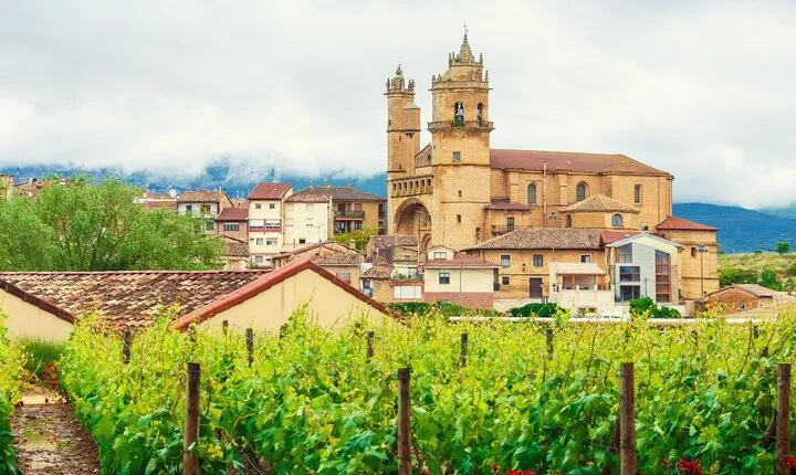 La Rioja Private Tour + Logroño Tapas & Wine Tasting from Bilbao
