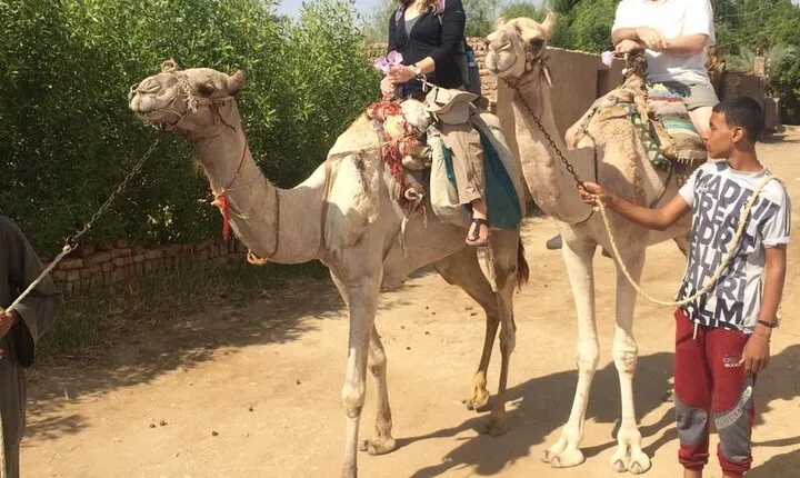 Special 2-days tour to Luxor from Hurghada,amazing package