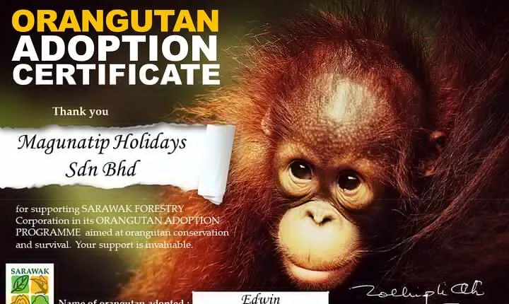 Kuching City Tour & Semenggoh Wildlife