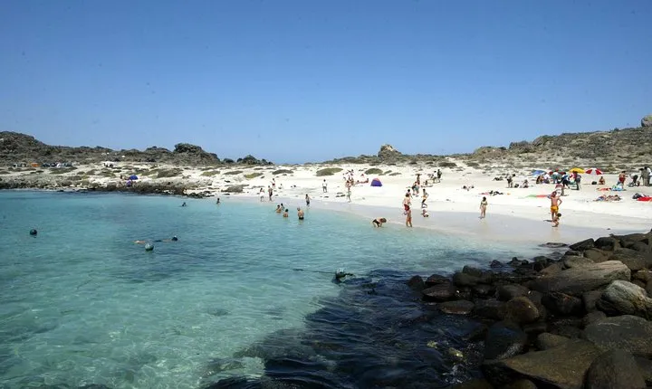 La Serena: Full day to Isla Damas & Humbolt Pinguino National Reserve