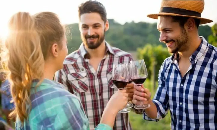 Muir Woods & Wine Tour: Redwoods & Tastings at 3 Wineries