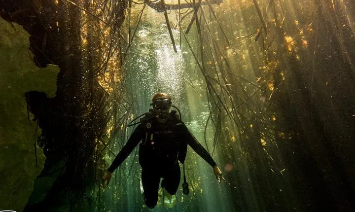 Discovery Scuba Diving
