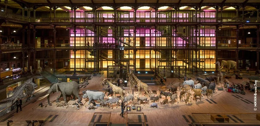 Skip-the-line tickets to the Great Gallery of Evolution