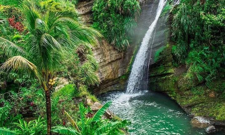 Grenada Must-See Places Express Tour
