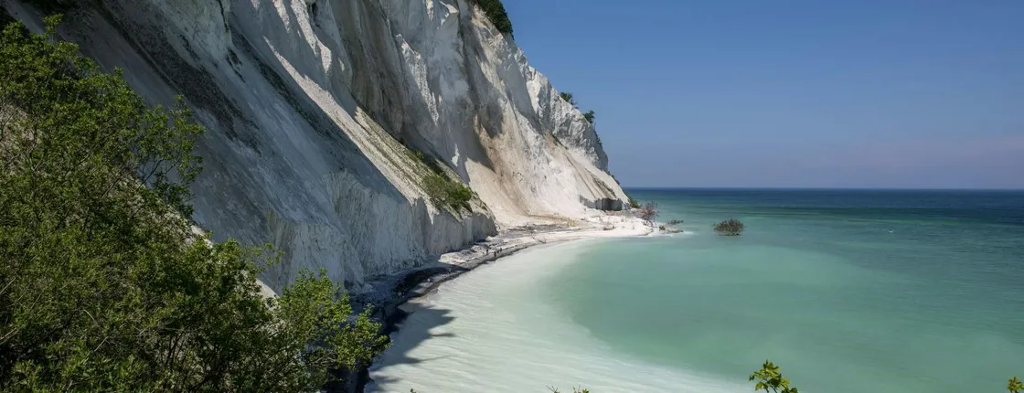 Full-day tour to Møns Klint and The Forest tower from Copenhagen