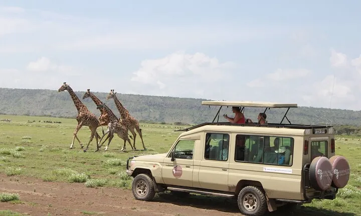6 Days Serengeti Safari(hiking waterfalls &coffee tour)