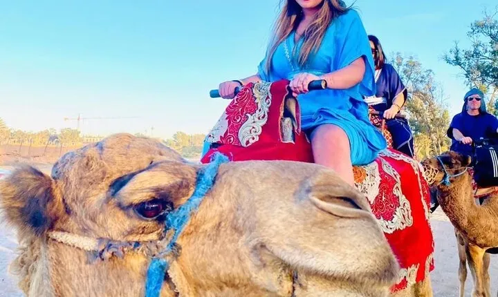 Agadir Camel Riding and flamingo river tour