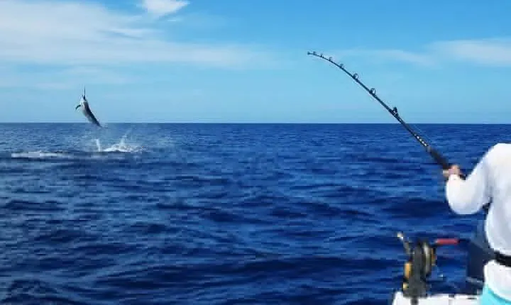 Private Game Fishing Trip with Sightseeing in Muscat