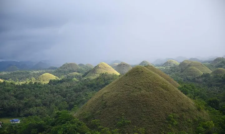 Bohol Chocolate Hills & Tarsiers with roundtrip ferry from Cebu
