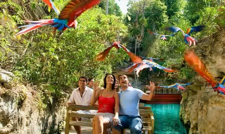 All-inclusive Xcaret Park with Transportation from Cancun & Playa Del Carmen