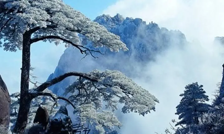 2-Day Huangshan Private Tour: Yellow Mountain and Hot Spring Spa Experience