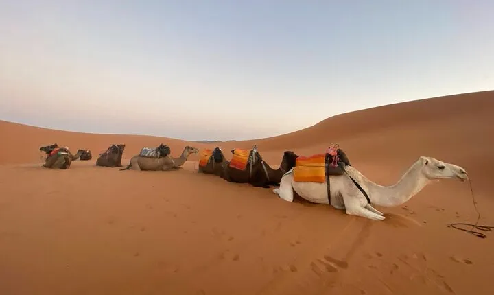 3-Day Fes to Marrakesh Desert Private Tour