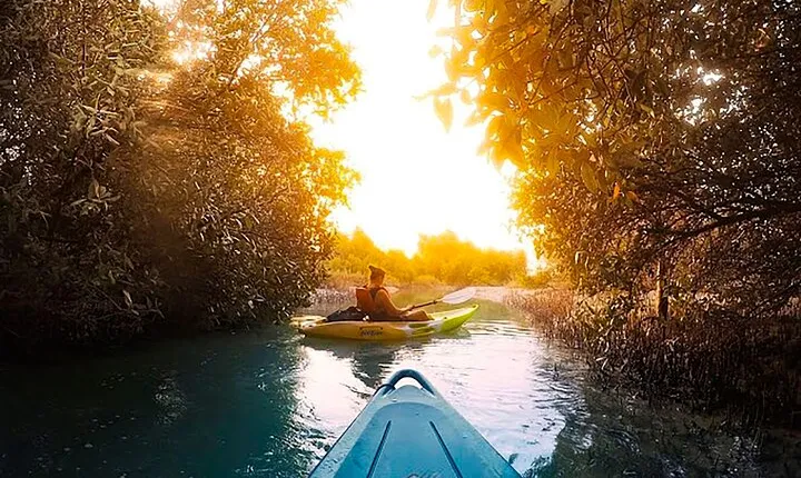 Mangrove Kayaking Abu Dhabi