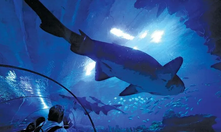 Aquaria KLCC Ticket and Aquarium Experience