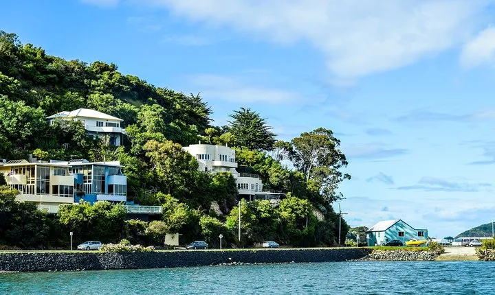 Captivating Side of Dunedin Walking Tour for Couples