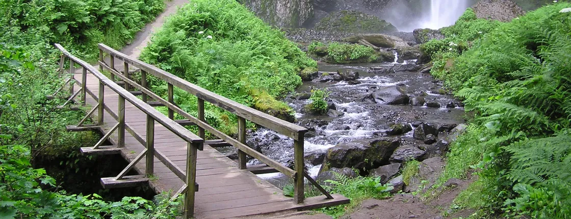 Multnomah Falls and Portland City Combination Tour