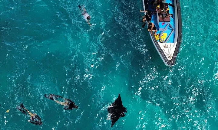 Nusa Penida Private Snorkeling and Land Tour Start from Bali