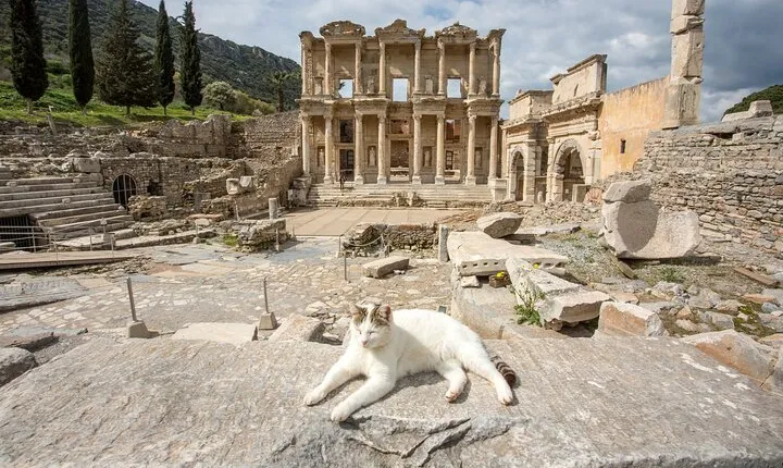Ephesus Tour from Istanbul by Flight