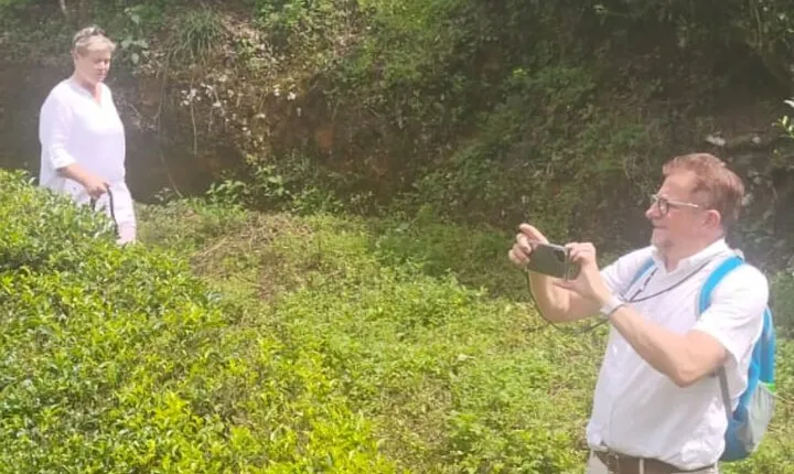 From Kochi: Day Tour to Munnar with Tea Garden and Waterfalls