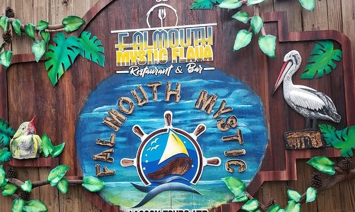 Experience the Glistening Waters of Luminous Lagoon in Falmouth