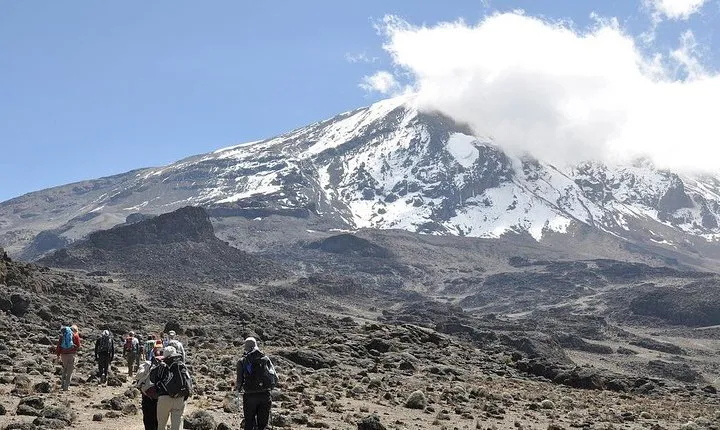 8 Days Lemosho Route - Climb Mount Kilimanjaro