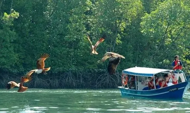 Sharing Half Day Kilim Geoforest Park Mangrove Boat Tour