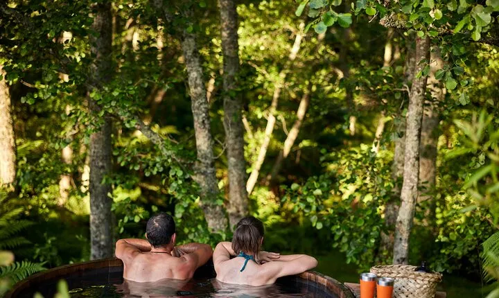 Rotorua Highlights Tour from Auckland with Optional Extras