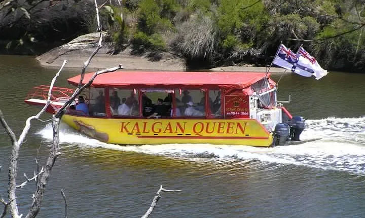 Kalgan Queen Scenic Cruises a four hour sheltered water wildlife tour daily fun.
