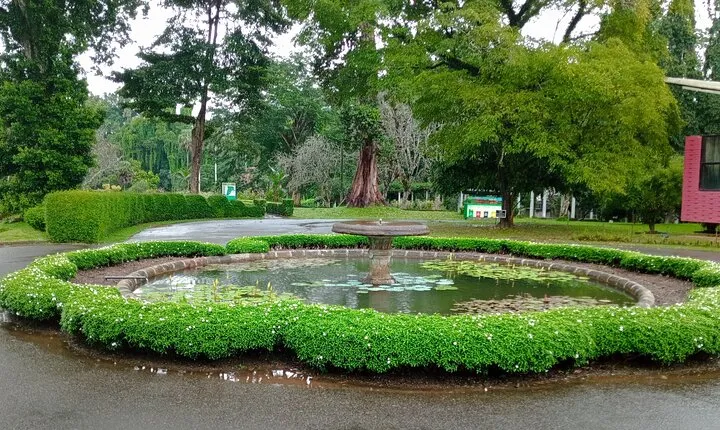 Peradeniya Garden, Ambuluwawa and Pinnawala Day Tour from Kandy