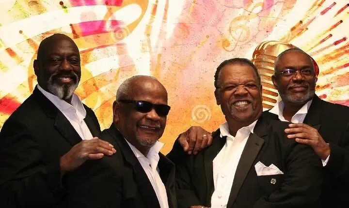 Ticket for Doo Wop & More in the Branson Hot Hits Theatre