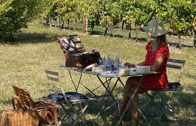 Discovery of the Cognac vineyard in a 2CV with picnic in the middle of the vines