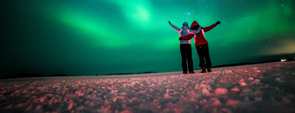 Magical Auroras Tour in a Minibus