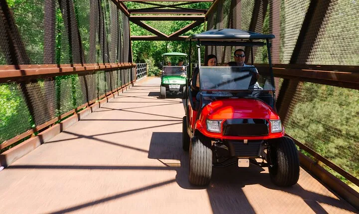 Magical Golf Cart Tour Through Peachtree City Trails