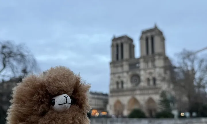 Paris Private Guided Walking Tour with Notre-Dame Visit