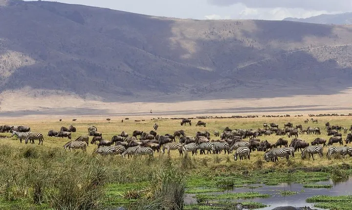 Tarangire & Ngorongoro Exclusive Safari
