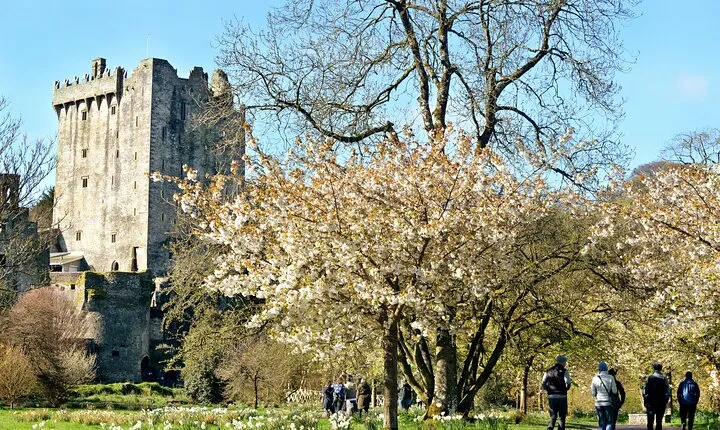 Cork to or from Dublin Private Transfer