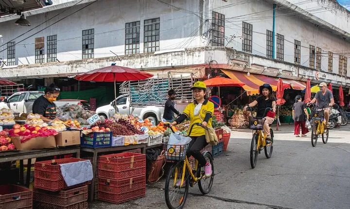Scenic Cycling Tour and Northern Thai Food from Chiang Mai