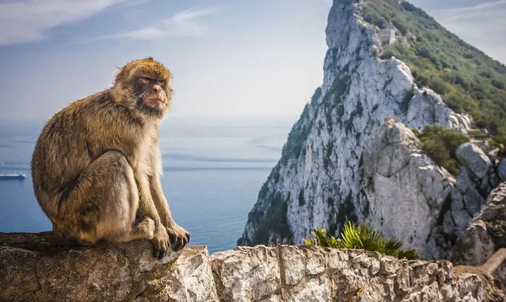 *Private Day Trip* Gibraltar and Vejer from Cádiz