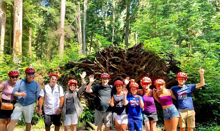 Stanley Park & Vancouver City Highlights 4 Hour Bike Tour 2 in 1