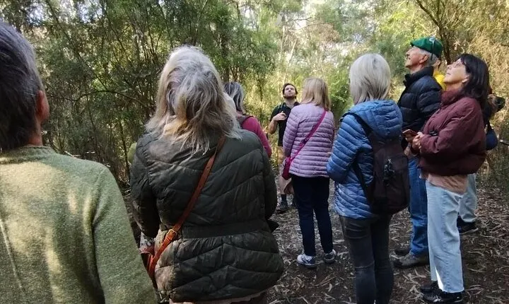 Birdwatching Workshop in Melbourne