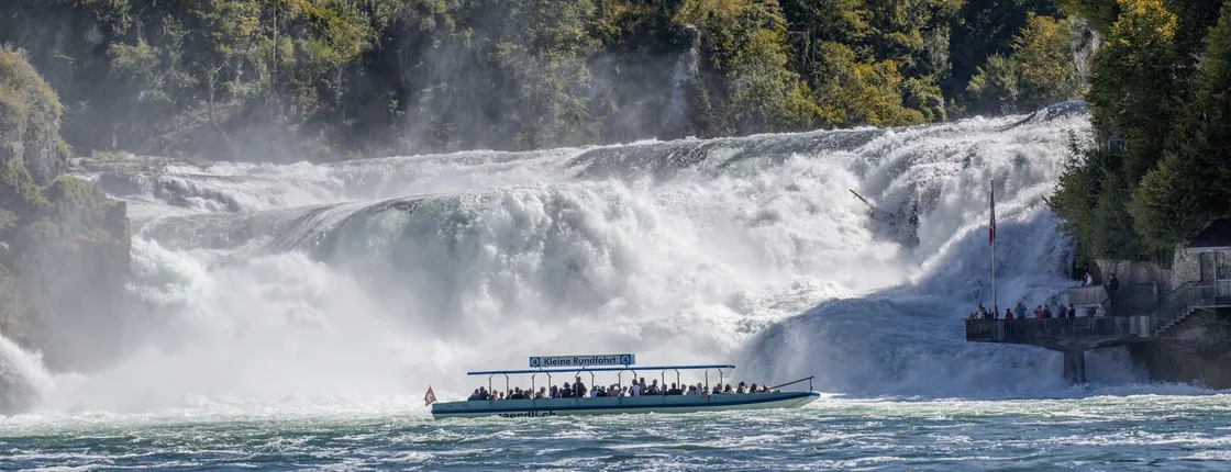 Rhine Falls half-day tour from Zurich