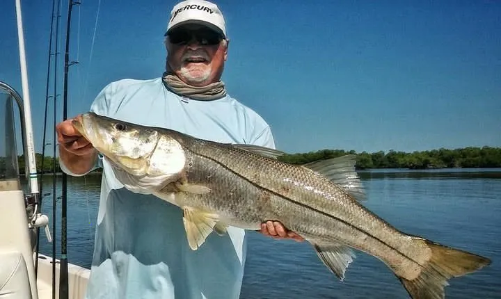 Tampa Bay Inshore Fishing Charters