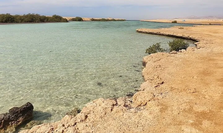 Sharm El Sheikh : White Island and Ras Mohamed Trip