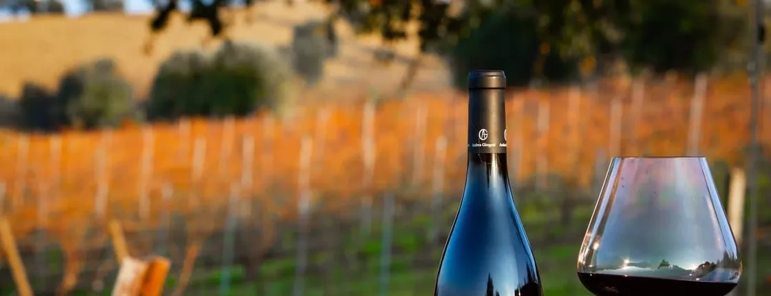 Wine tasting experience at Andrea Giorgetti winery