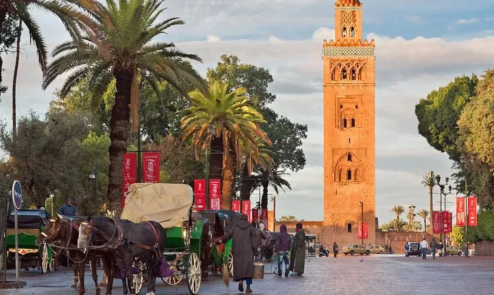 Private Marrakech excursion, camel ride or quad from Casablanca