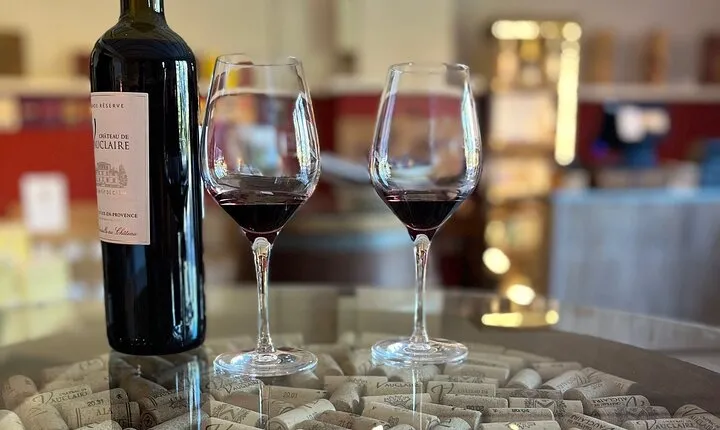Half day Wine Tour in Côteaux Aix from Aix en Provence