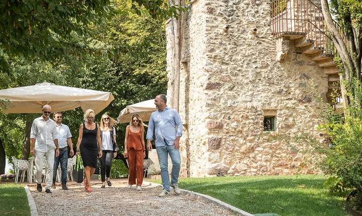 Tour and Tasting of Organic Wines in Lazise
