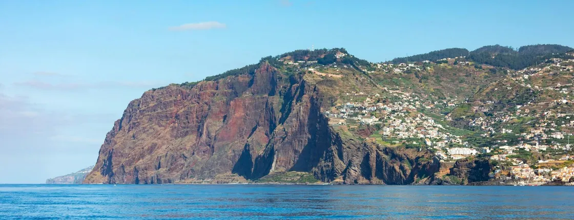 Dolphin and whale watching speedboat tour ticket