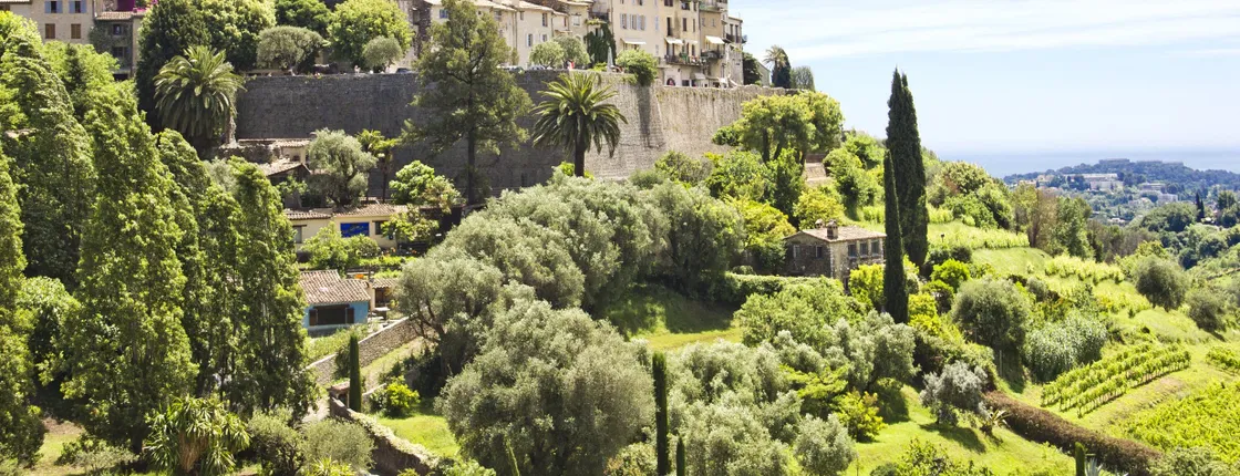 Best of Provence private tour from Nice