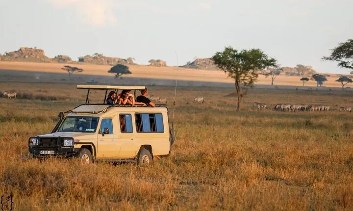 6-Day Unforgettable Tour in Tanzania